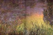 Claude Monet Water Lilies at Sunset oil painting